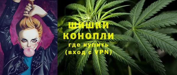 PSILOCYBIN Алзамай
