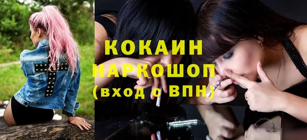 PSILOCYBIN Алзамай