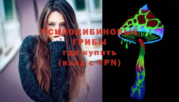 PSILOCYBIN Алзамай
