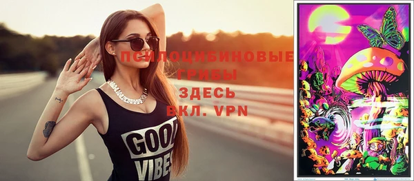 PSILOCYBIN Алзамай